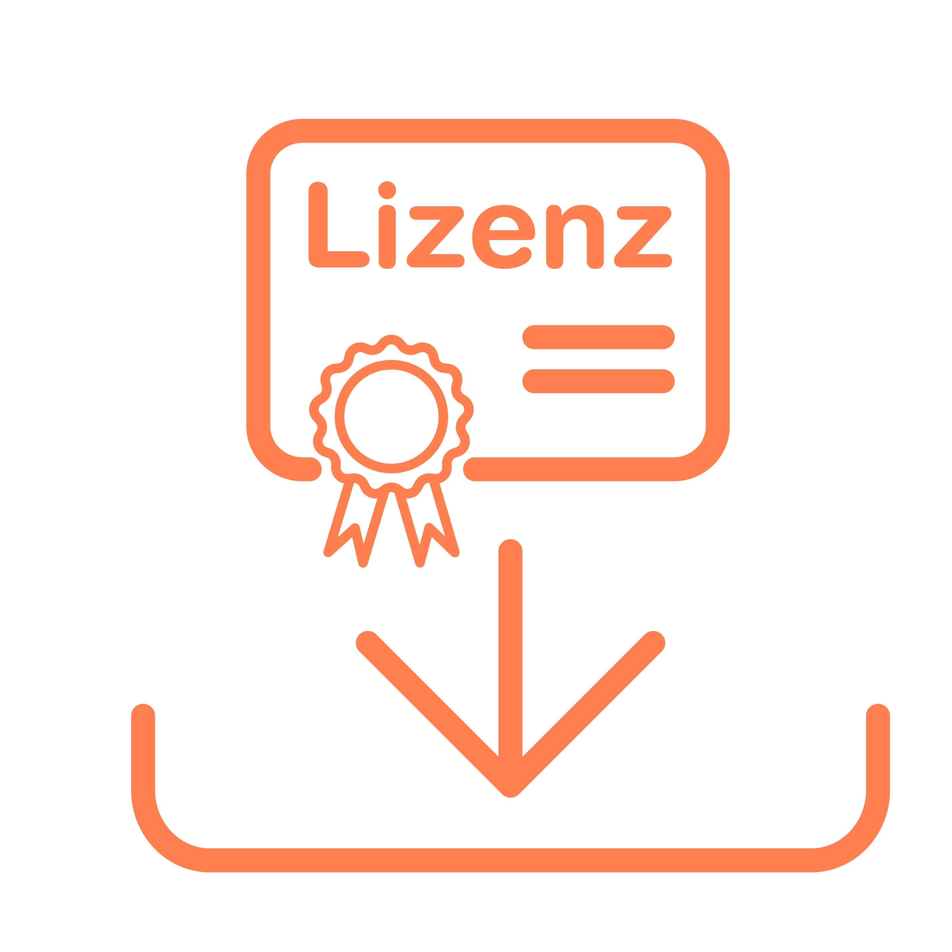 Icon Lizenz
